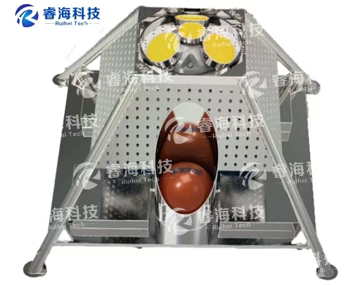 1740477341f9d3dc 1740477341f9d3dc